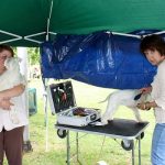 da_go_vesna_stvarno_ste_uslikani__20170625_1383109731